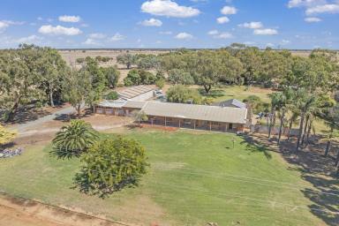House Sold - VIC - Echuca - 3564 - Country Lifestyle Awaits  (Image 2)