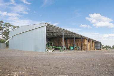 Mixed Farming Sold - VIC - Berrybank - 3323 - OUTSTANDING BERRYBANK FARMING/ CONTRACTING HEADQUARTERS  (Image 2)