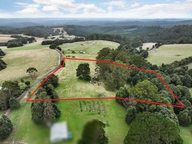 Lifestyle Sold - VIC - Beech Forest - 3237 - PICTURESQUE OTWAY DISTRICT PROPERTY  (Image 2)