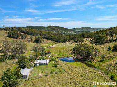 Acreage/Semi-rural Sold - NSW - Martins Creek - 2420 - Lifestyle Farm With Birds Eye Rural Views! Owner Will Consider All Reasonable Offers  (Image 2)