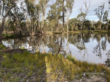 Other (Rural) For Sale - QLD - Dalby - 4405 - PERFECT 99 ACRE BUSH BLOCK WITH DAM  (Image 2)