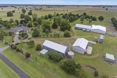 Other (Rural) For Sale - VIC - Homerton - 3304 - ‘ALLANDALE’  (Image 2)