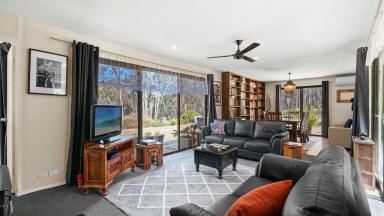 House Sold - VIC - Scarsdale - 3351 - Peaceful Lifestyle Property in Scarsdale  (Image 2)