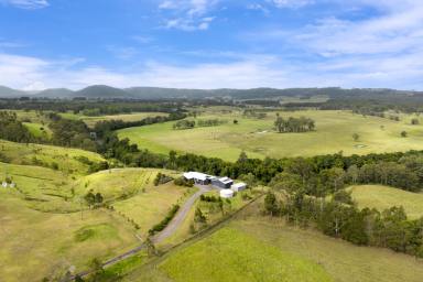 Acreage/Semi-rural Sold - NSW - Clarence Town - 2321 - Glorious Mornings on the river bend.  (Image 2)