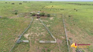 Other (Rural) Sold - QLD - Stamford - 4821 - OPHIR DOWNS  (Image 2)