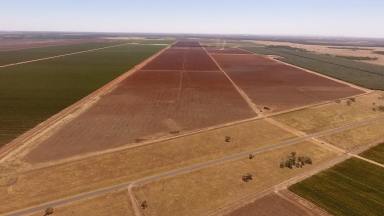 Other (Rural) Sold - NSW - Willbriggie - 2680 - LARGE-SCALE DEVELOPMENT POTENTIAL & WATER ACCESS  (Image 2)