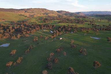 Lifestyle For Sale - NSW - Tumut - 2720 - High Rainfall Rural Lifestyle  (Image 2)