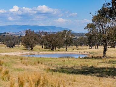 Lifestyle For Sale - NSW - Tumut - 2720 - High Rainfall Rural Lifestyle  (Image 2)