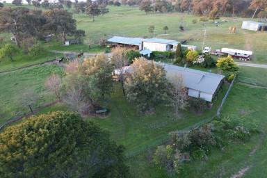 Lifestyle For Sale - NSW - Tumut - 2720 - High Rainfall Rural Lifestyle  (Image 2)