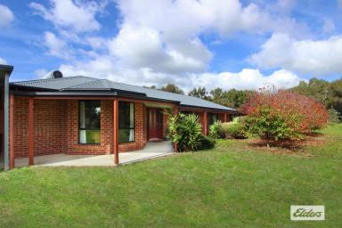 Acreage/Semi-rural Sold - VIC - Lockwood - 3551 - QUALITY BUILT HOME IN PICTURESQUE RURAL SURROUNDINGS  (Image 2)