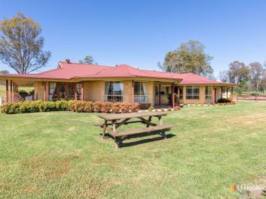 House Sold - NSW - Cobargo - 2550 - STUNNING VIEWS, PERFECT FAMILY HOME  (Image 2)