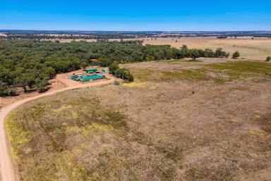 Lifestyle Sold - NSW - Temora - 2666 - FULLY EQUIPPED LIFESTYLE OPPORTUNITY  (Image 2)