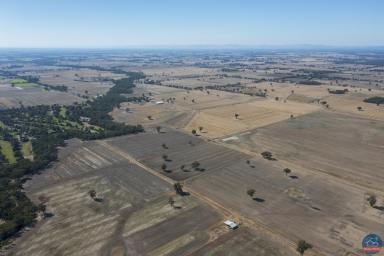Cropping For Sale - VIC - Kialla - 3631 - Consolidated cropping in Kialla - 961 acres  (Image 2)