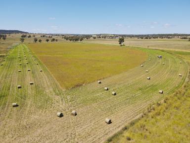 Livestock For Sale - QLD - Tellebang - 4630 - "Lanberris"   IRRIGATION & GRAZING OPERATION IN THE NORTH BURNETT REGION  (Image 2)