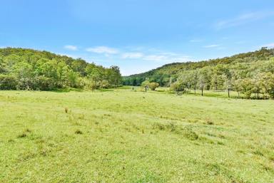Lifestyle For Sale - NSW - Laguna - 2325 - Prime Picturesque Wollombi Valley Acres!  (Image 2)
