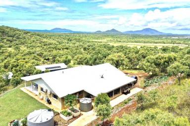 Other (Rural) For Sale - QLD - Guthalungra - 4805 - Million Dollar Views with an Income  (Image 2)