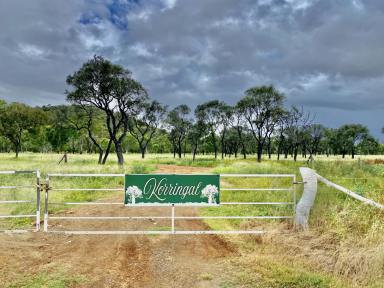 Other (Rural) For Sale - QLD - Guthalungra - 4805 - Million Dollar Views with an Income  (Image 2)