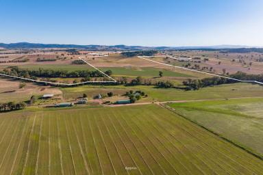 Mixed Farming For Sale - NSW - Canowindra - 2804 - 100YRS OF OWNERSHIP, PRIME IRRIGATION, SELF WATERING RIVER FLATS & GRAZING!  (Image 2)