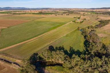 Mixed Farming For Sale - NSW - Canowindra - 2804 - 100YRS OF OWNERSHIP, PRIME IRRIGATION, SELF WATERING RIVER FLATS & GRAZING!  (Image 2)