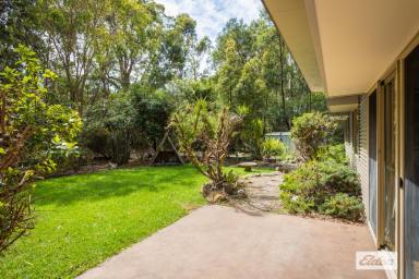 House Sold - NSW - Kalaru - 2550 - Larger Blocks, Popular Location  (Image 2)