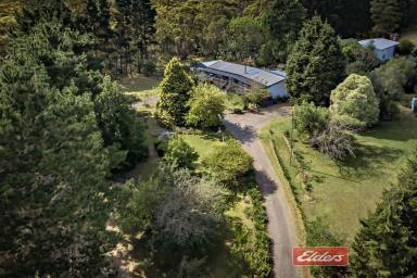 Acreage/Semi-rural Sold - NSW - Hill Top - 2575 - Idyllic and hidden oasis on over 5.5 acres!  (Image 2)