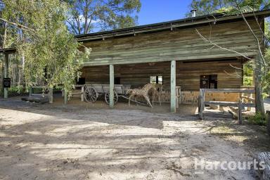 House Sold - QLD - Takura - 4655 - Beautiful Lifestyle Acreage - Being sold as a going concern with forward bookings!  (Image 2)