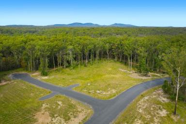 Residential Block For Sale - NSW - Verges Creek - 2440 - Largest Vacant Site For Sale In East Edge Estate!  (Image 2)