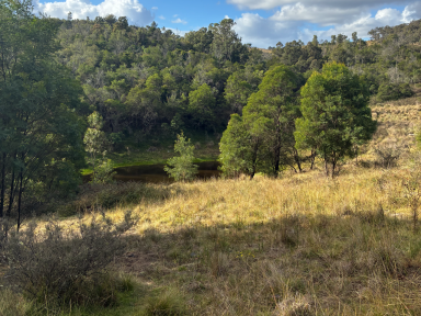 Lifestyle For Sale - NSW - Bullio - 2575 - The Perfect Getaway  (Image 2)