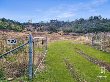 Lifestyle For Sale - NSW - Bullio - 2575 - The Perfect Getaway  (Image 2)