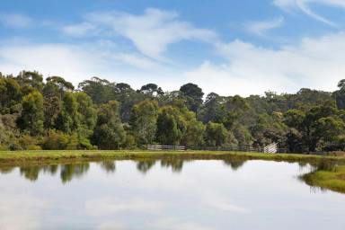 Horticulture Sold - VIC - Timboon - 3268 - LOCATION, POTENTIAL, SERENITY  (Image 2)