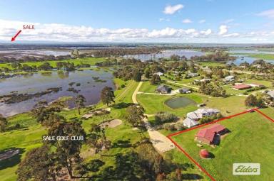 Acreage/Semi-rural For Sale - VIC - Longford - 3851 - INVESTMENT PROPERTY  (Image 2)