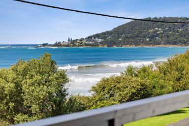 House Sold - VIC - Lorne - 3232 - BEACH DAY IS EVERY DAY  (Image 2)