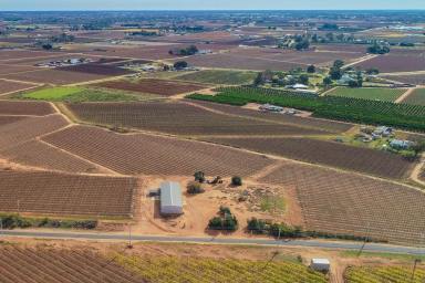 Residential Block Sold - VIC - Red Cliffs - 3496 - Build Your Dream Home On An Acre  (Image 2)
