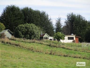 Lifestyle Sold - TAS - Lower Wilmot - 7310 - COTTAGE ON 10.85 HECTARES (27 ACRES)  (Image 2)