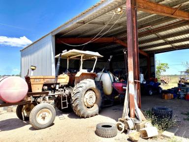 Other (Rural) For Sale - QLD - Osborne - 4806 - Burdekin River Cropping Property  (Image 2)