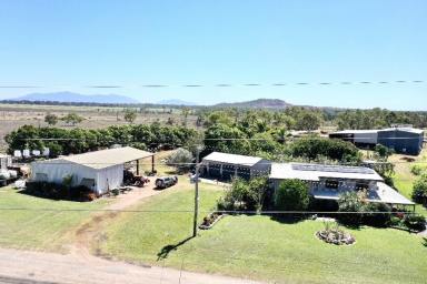 Other (Rural) For Sale - QLD - Osborne - 4806 - Burdekin River Cropping Property  (Image 2)