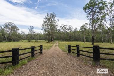 Other (Rural) Sold - NSW - Fortis Creek - 2460 - 122 Acres Just 15 Mins To Town  (Image 2)