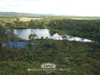 Other (Rural) For Sale - QLD - Dimbulah - 4872 - OFF-GRID ENTRY LEVEL FARMING OPPORTUNITY  (Image 2)
