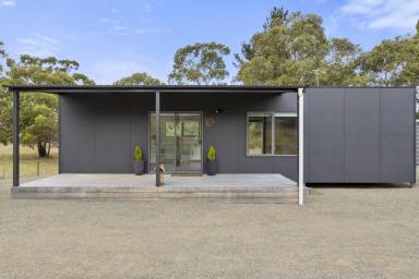 House Sold - TAS - Dodges Ferry - 7173 - Tiny with Lots of Appeal  (Image 2)
