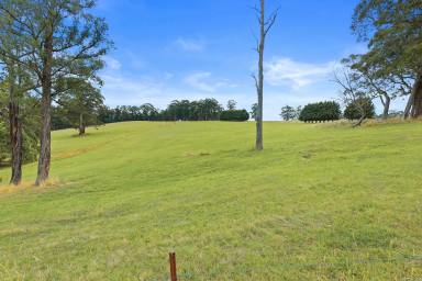 Mixed Farming Sold - VIC - Fumina South - 3825 - IDEAL LIFESTYLE / GRAZING FARM  (Image 2)