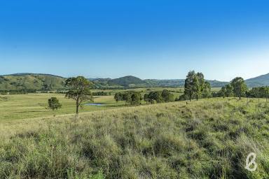 Other (Rural) Sold - NSW - Glendon Brook - 2330 - STUNNING RURAL BLANK CANVAS | 40 Ha (100 Acres)  (Image 2)