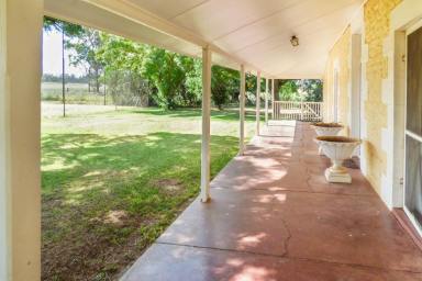 House Leased - NSW - Dubbo - 2830 - Country Homestead with large shed close to CBD  (Image 2)