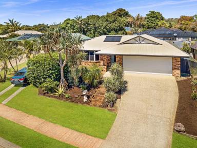 House Sold - QLD - Palmwoods - 4555 - VERSATILE FAMILY HOME  (Image 2)