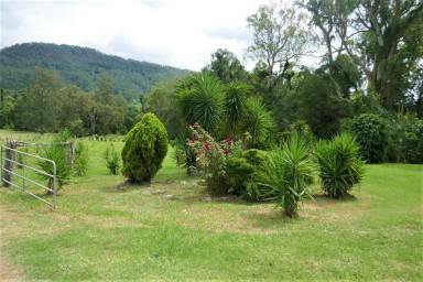 Livestock For Sale - NSW - Kyogle - 2474 - COLLINS CREEK LIFESTYLE PROPERTY  (Image 2)