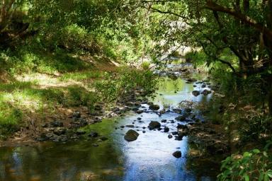 Livestock For Sale - NSW - Kyogle - 2474 - "AFTERLEE" - 208 ACRES  (Image 2)