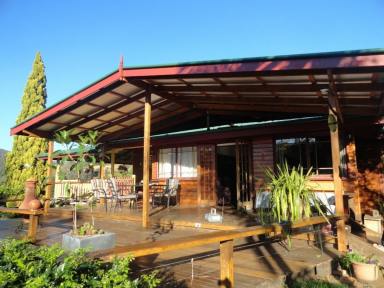 Livestock For Sale - NSW - Kyogle - 2474 - "AFTERLEE" - 208 ACRES WITH CREEK FRONTAGE (Image 2)