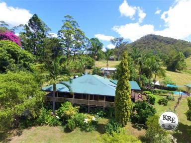 Livestock For Sale - NSW - Kyogle - 2474 - "AFTERLEE" - 208 ACRES WITH CREEK FRONTAGE (Image 2)