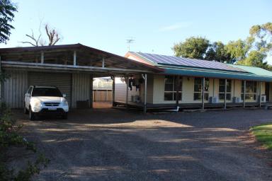 House Sold - NSW - Ashley - 2400 - Peace & Quiet North West of Moree  (Image 2)