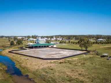 Livestock For Sale - QLD - Warwick - 4370 - OUTSTANDING OPPORTUNITY TO OWN "Kiana" WARWICK, QUEENSLAND AUSTRALIA  (Image 2)
