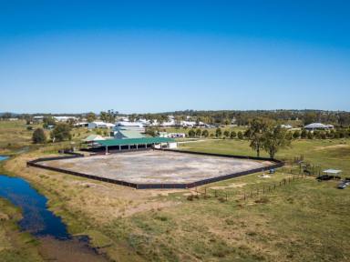 Livestock For Sale - QLD - Warwick - 4370 - OUTSTANDING OPPORTUNITY TO OWN "Kiana" WARWICK, QUEENSLAND AUSTRALIA  (Image 2)